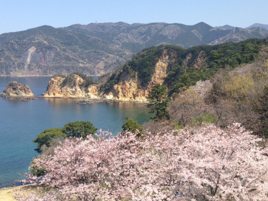 Dogashima Onsen Hotel Nishiizu Esterno foto